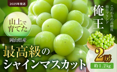 [2025年発送]山上で育てた最高級シャインマスカット「俺王」2房入り(令和7年10月初旬〜10月下旬発送予定)[ フルーツ 俺王 シャインマスカット 岡山県産 晴れの国おかやま ]