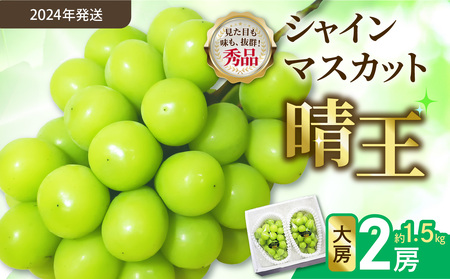 【2024年発送分】岡山県産シャインマスカット晴王　大房２房