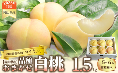 [令和7年発送分]岡山県産 白桃「ロイヤル」1.5kg(令和7年7月から8月発送)[ 岡山県産 白桃 ロイヤル 晴れの国おかやま ]