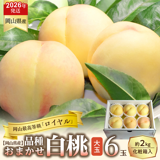 【令和８年発送分】岡山県産 白桃「ロイヤル」大玉6玉（令和8年7月から8月頃発送）【桃】