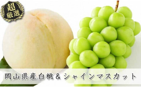 岡山県産白桃ロイヤル&シャインマスカット 約1kgセット[6月中旬〜8月上旬発送予定 白桃 糖度最上級 もも フルーツ モモ ロイヤル シャインマスカット ぶどう 大人気セット 岡山県産 くだもの王国岡山 ]