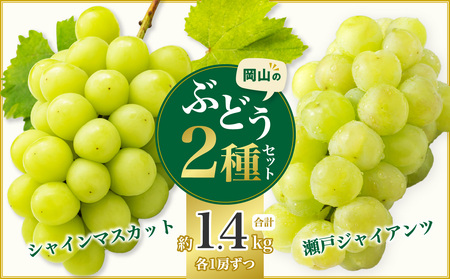 岡山県産シャインマスカット&瀬戸ジャイアンツ 約1.4kg