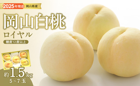 [2025年発送分 先行受付スタート!]岡山県産 白桃 最高ランク!ロイヤル約1.5kg 5〜7玉(令和7年7月以降発送)