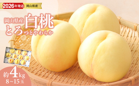 [2026年発送分 先行受付スタート!]岡山県産 白桃 約4kg(8〜15玉)(令和8年7月以降発送)[ 白桃 フルーツ 果物 くだもの もも 桃 モモ 岡山県産 ]hz-m
