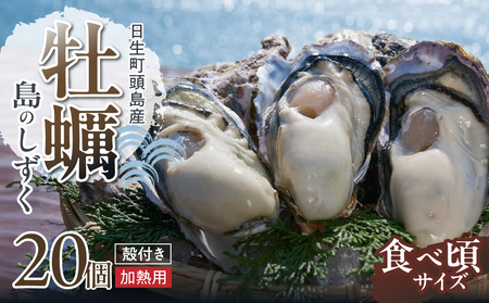 [厳選!]日生頭島殻付牡蠣「島のしずく」(加熱用・食べ頃サイズ20個)