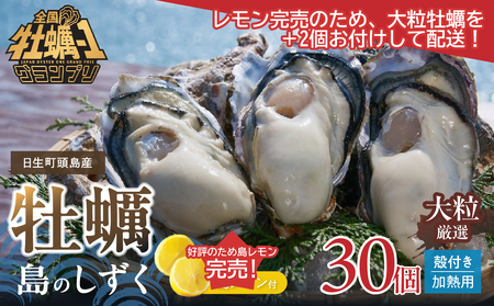 【 2025年発送 】【厳選！】日生頭島大粒殻付牡蠣「島のしずく」（加熱用・30個）と「島レモン」