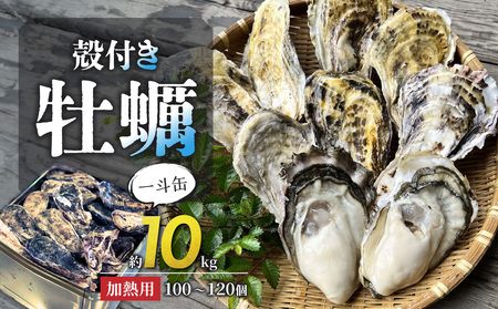 [2026年2月以降発送]殻付き牡蠣(加熱用) 一斗缶(約10kg)[加熱用 ガンガン焼き ナイフ付き 殻付き 一斗缶 海鮮 魚介類 海産物 オイスター]