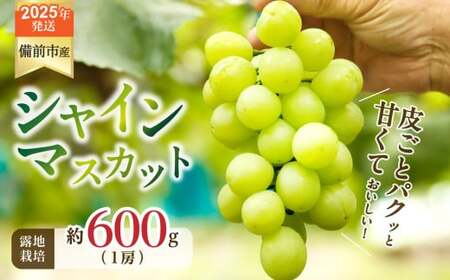 [2025年発送]びぜん葡萄「シャインマスカット」(露地栽培)1房入 [ 岡山県備前市産 シャインマスカット 露地栽培 1房 約600g前後 ]