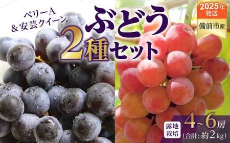 [2025年発送]びぜん葡萄「ベリーA」「安芸クイーン」(露地栽培)約2kg [ 岡山県備前市産 ベリーA 安芸クイーン 露地栽培 約2kg 樹上完熟 ]