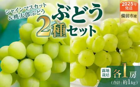 [2025年発送]びぜん葡萄「シャインマスカット」「桃太郎ぶどう」(露地栽培)各1房入 [ 岡山県備前市産 シャインマスカット 桃太郎ぶどう 露地栽培 各1房 セット 樹上完熟 ]