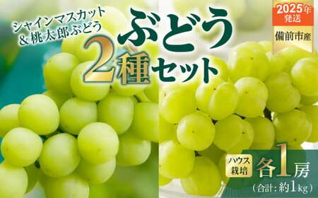 [2025年発送]びぜん葡萄「シャインマスカット」「桃太郎ぶどう」(ハウス栽培)各1房入 [ 岡山県備前市産 シャインマスカット 桃太郎ぶどう ハウス栽培 各1房入 樹上完熟 ]