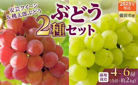 [2025年発送]びぜん葡萄「安芸クイーン」「桃太郎ぶどう」(露地栽培)約2kg入 [ 岡山県備前市産 安芸クイーン 桃太郎ぶどう 露地栽培 約2kg 4房〜6房 詰合せセット ]