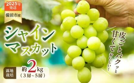 [2025年発送]岡山県備前市産 樹上完熟「シャインマスカット」(露地栽培)約2kg(3〜5房目安) [ 岡山県備前市産 シャインマスカット 露地栽培 約2kg(3〜5房目安)樹上完熟 ]