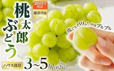 [2025年発送]びぜん葡萄「桃太郎ぶどう」(ハウス栽培)約2kg入 [ 岡山県備前市産 桃太郎ぶどう ハウス栽培 約2kg (3〜5房目安) ]