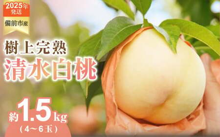 [2025年発送]びぜん白桃 清水白桃 約1.5kg [ 岡山県備前市産 清水白桃 約1.5kg (4〜6玉目安) ]