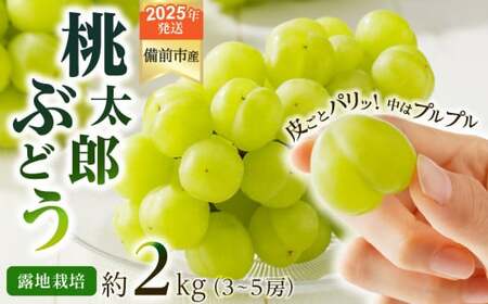 [2025年発送]びぜん葡萄「桃太郎ぶどう」(露地栽培)約2kg入 [ 岡山県備前市産 桃太郎ぶどう 露地栽培 約2kg入 (3〜5房目安) 樹上完熟 ]