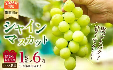 [2025年発送]びぜん葡萄「シャインマスカット」(ハウス栽培)1房入×6箱セット[ 岡山県備前市産 シャインマスカット ハウス栽培 1房入×6箱セット ]