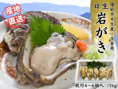 [ 2025年発送 ]岡山県日生産 岩ガキ1kg(4〜6粒・生食用)