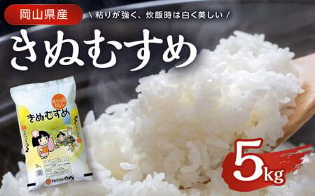 [天満屋選定品] 岡山県産 きぬむすめ5kg [ 白米 国産 岡山県産米 きぬむすめ お米 ご飯 白飯 全国配送可能 ]