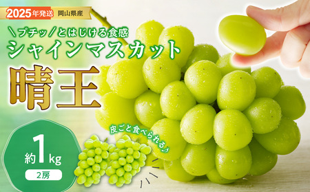 [2025年発送分 先行受付スタート]岡山県産シャインマスカット「晴王」 秀品 1kg(2房)(令和7年8月中旬〜10月頃発送)[ シャインマスカット 晴王 フルーツ 果物 くだもの 葡萄 ぶどう 御中元 ギフト プレゼント 御祝 岡山県産 秀品 種無し 高糖度 hzS-M ]