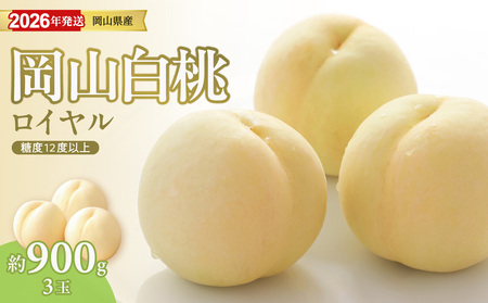[2026年発送分 先行受付スタート!]岡山県産 白桃 「ロイヤル」 特秀 中玉 約900g(3玉)(令和8年7月〜8月上旬頃発送)[ 白桃ロイヤル フルーツ 果物 くだもの 御中元 御祝 ギフト プレゼント もも 桃 モモ 岡山県産 ]hz-m