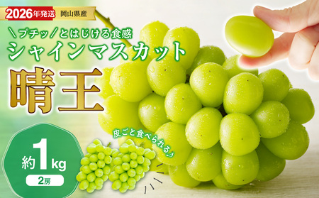 [2026年発送分 先行受付スタート!]岡山県産シャインマスカット「晴王」 秀品 約1kg(2房)(令和8年8月中旬〜10月頃発送)[ シャインマスカット 晴王 フルーツ 果物 くだもの 葡萄 ぶどう 御中元 ギフト プレゼント 御祝 岡山県産 秀品 種無し 高糖度 ]hz-s