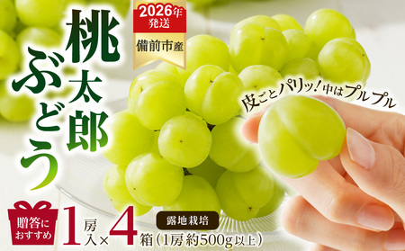 y2026N@stJnIzт񕒓uYԂǂviIn͔|j1[×4Zbgiߘa8N9{`10{jy ROsY YԂǂ In͔| 1[×4Zbg