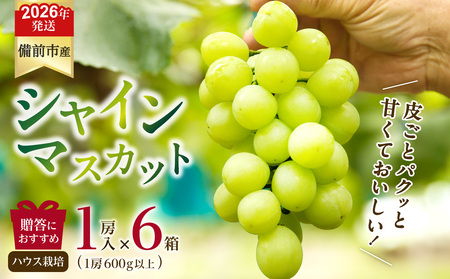 y2026N@stJnIzт񕒓uVC}XJbgvinEX͔|j1[×6Zbgiߘa8N8{`9{jy ROsY VC}XJbg nEX͔|