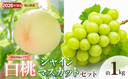 [ 2026年発送 ]岡山県産白桃ロイヤル&シャインマスカット 約1kgセット(令和8年6月中旬〜8月上旬発送)[ 白桃 糖度最上級 もも フルーツ モモ ロイヤル シャインマスカット ぶどう 大人気セット 岡山県産 くだもの王国岡山 ]