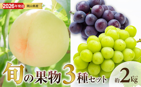 [ 2026年発送 ]岡山県産白桃 ロイヤル&シャインマスカット&ピオーネ 約2kgセット(令和8年6月中旬〜8月上旬発送)[ 白桃 糖度最上級 もも フルーツ モモ ロイヤル シャインマスカット ピオーネ ぶどう 大人気セット 岡山県産 くだもの王国岡山 ]