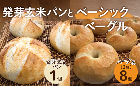 発芽玄米パンとベーシックベーグル[ ベーグル パン 酵母 発芽 玄米 もっちり]
