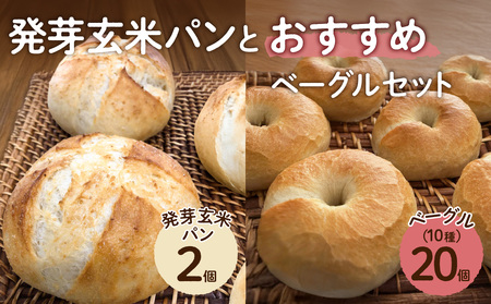 発芽玄米パンとおすすめベーグルセット[ ベーグル パン 自家製 酵母 発芽 玄米 もっちり オススメ ]