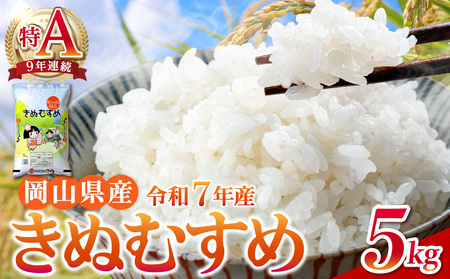 [令和7年産米]岡山県産 精米 きぬむすめ 5kg[米 配送 令和7年産 米 精米 ごはん 白米 国産米]