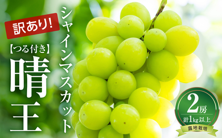 [先行受付][訳あり] 岡山県産 つる付きシャインマスカット 2房 (1房530g以上) 露地栽培(令和8年9月上旬〜10月中旬頃発送)[岡山県産 シャインマスカット 葡萄 ぶどう フルーツ 果物 晴王 つる付 2房 1房530g以上]