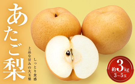 [先行受付]岡山県産 あたご梨 約3kg (3〜5玉)(令和8年11月中旬〜12月中旬頃発送)[岡山県産 あたご梨 なし フルーツ 果物 大きい 3〜5玉 約3kg]
