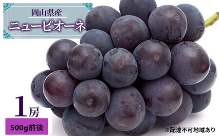 Ԃǂ 2026N s\ j[ sI[l 1[ 500gO uhE   RY Y t[c ʕ Mtg ʕ 