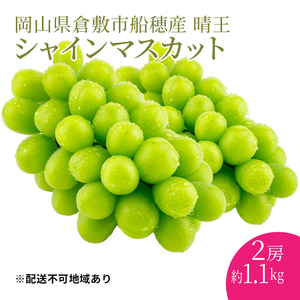 Ԃǂ 2025N s\ yv~AVC}XJbg  2[ v1.1kg zDY ԏGiȏ RY  uhE Mtg nmt[c 炲ƐHׂ ݂݂