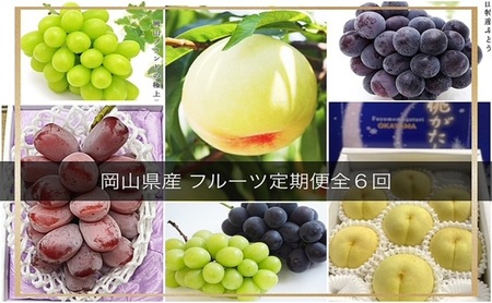 �t���[�c ����̍� ���R �� �t���[�c ����� 6��R�[�X ���R���Y �� ���� ���� �Ԃǂ� �� �Ȃ� 2026�N ��s�\��