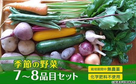 季節の野菜 7〜8品目 セット 栽培期間中 無農薬 化学肥料不使用 旬 野菜 岡山