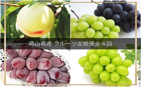 �y2026�N ��s�\�� �z����̍� ���R �� �t���[�c ����� 4��R�[�X ���R���Y ���� �Ԃǂ� �� �Ȃ�