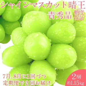2026年 予約受付中【2回定期便】 シャインマスカット 晴王 2房約1.15kg 7月～8月出荷/ 岡山県産 種無し 皮ごと食べる みずみずしい フレッシュ 晴れの国 おかやま 果物大国 彩美菜果 [№5735-2110