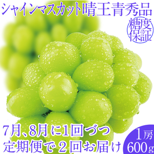 2025年予約受付中[2回定期便] シャインマスカット晴王1房 約600g 7月8月に出荷 人気 岡山県産 種無し 皮ごと食べる みずみずしい フレッシュ 晴れの国 おかやま 果物大国 ハレノフルーツ