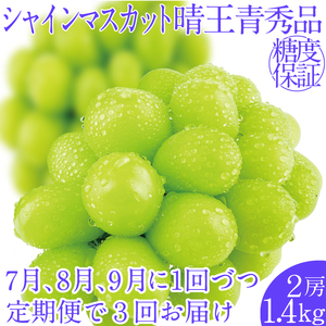 2025年予約受付中[3回定期便]シャインマスカット晴王2房 約1.4kg 7月8月9月に出荷 人気 岡山県産 種無し 皮ごと食べる みずみずしい ハレノフルーツ