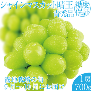 2025年 先行予約受付中 シャインマスカット晴王1房 約700g 岡山県産 種無し 皮ごと食べる みずみずしい 甘い フレッシュ 瀬戸内 晴れの国 おかやま 果物大国 ハレノフルーツ