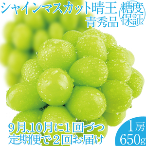 2025年 先行予約受付中[2回定期便]シャインマスカット晴王1房 約650g 岡山県産 種無し 皮ごと食べる みずみずしい 甘い フレッシュ 瀬戸内 晴れの国 おかやま 果物大国 ハレノフルーツ