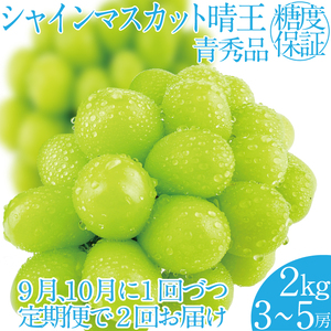 2025年 先行予約受付中[2回定期便]シャインマスカット晴王約2kg(3〜5房) 岡山県産 種無し 皮ごと食べる みずみずしい 甘い フレッシュ 瀬戸内 晴れの国 おかやま 果物大国 ハレノフルーツ