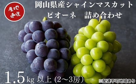 I VC}XJbgEj[sI[l 2`3[ v1.5kgȏ l Yn ̂ Ԃǂ  Kawahara Green Farm RY 2026N s\