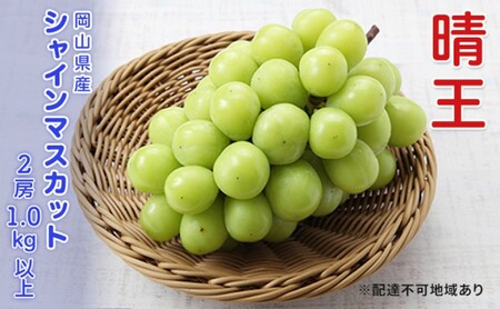 Ԃǂ s\ VC}XJbg  2[ v1.0kgȏ  uhE   RY Y t[c ʕ Mtg
