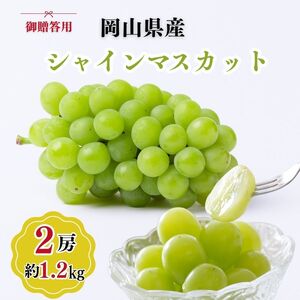 御贈答用 岡山県産 シャインマスカット 2房入り(1.2kg以上) ぶどう ブドウ 葡萄 フルーツ 果物 岡山 瀬戸内市