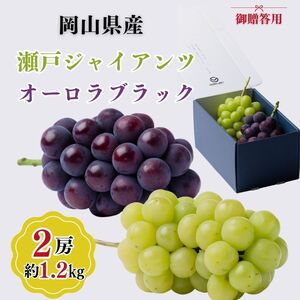 御贈答用 岡山県産 瀬戸ジャイアンツ オーロラブラック 2房入り(1.2kg以上) ぶどう ブドウ 葡萄 フルーツ 果物 岡山 瀬戸内市